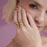 ANILLO ARDILLA