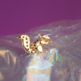 ANILLO ARDILLA