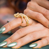 ANILLO CAMALEÓN