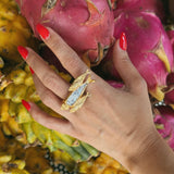 ANILLO CARDUMEN DE SARDINAS