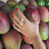 ANILLO CARDUMEN DE SARDINAS