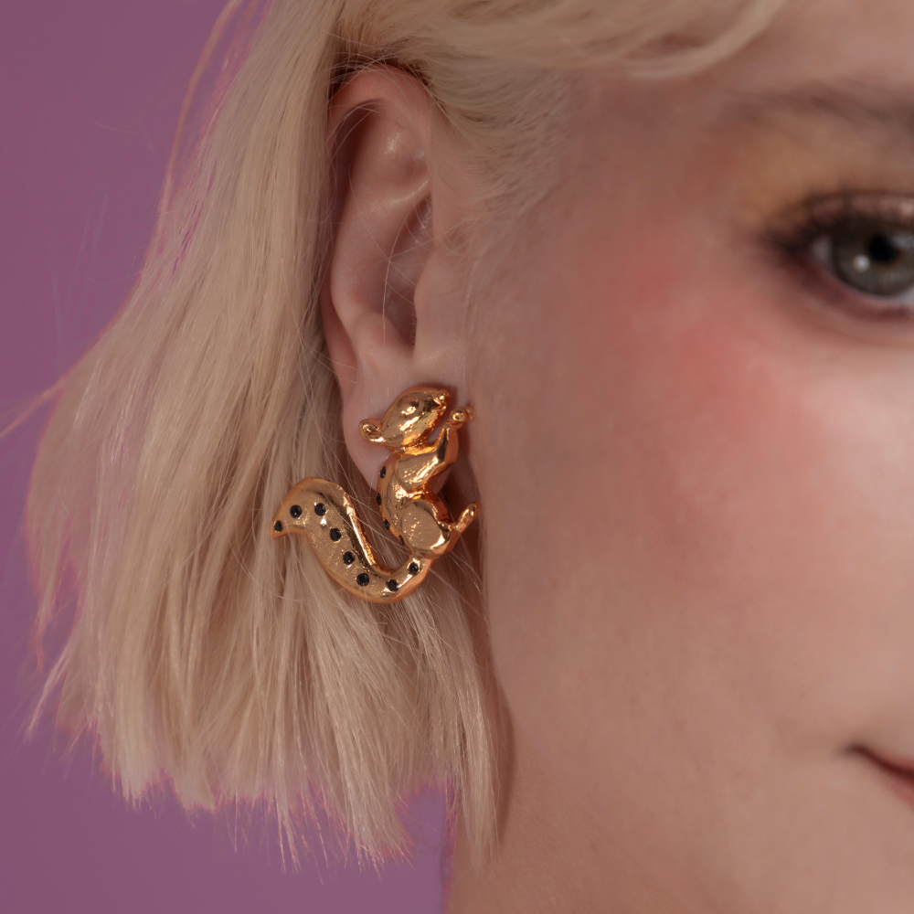 ARETES ARDILLA