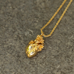COLLAR CORAZÓN ANATÓMICO MINI
