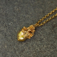 COLLAR CORAZÓN ANATÓMICO MAXI