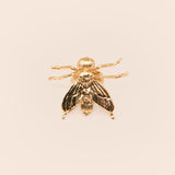 ANILLO MOSCA