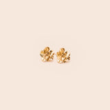 ARETES SUCULENTA PERLE VON