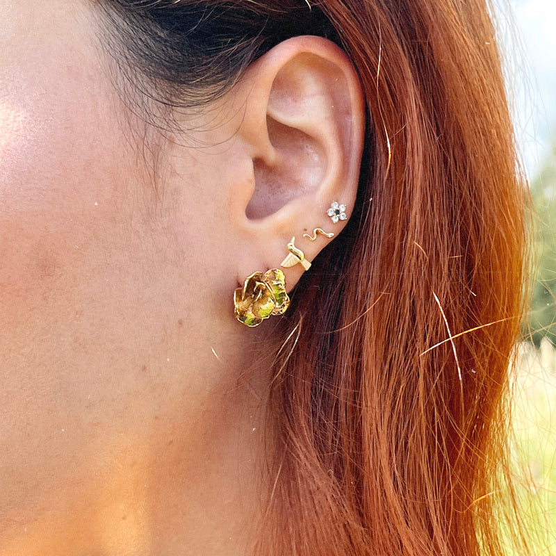ARETES SUCULENTA PERLE VON