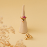 ANILLO HONGO