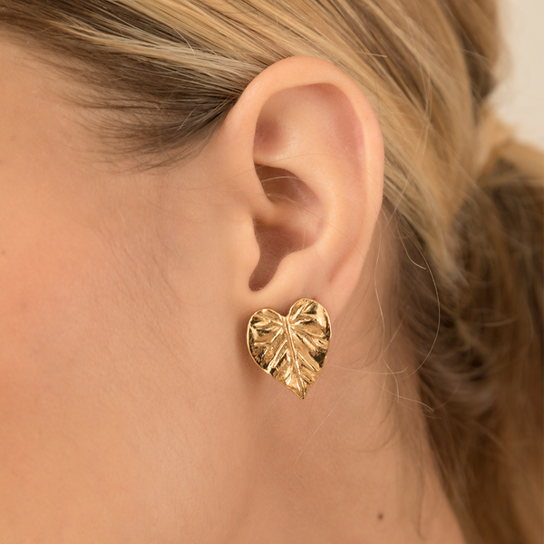 Aretes Caladio