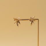ARETES HOJA ESTRELLADA