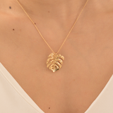 Collar Monstera Pequeña